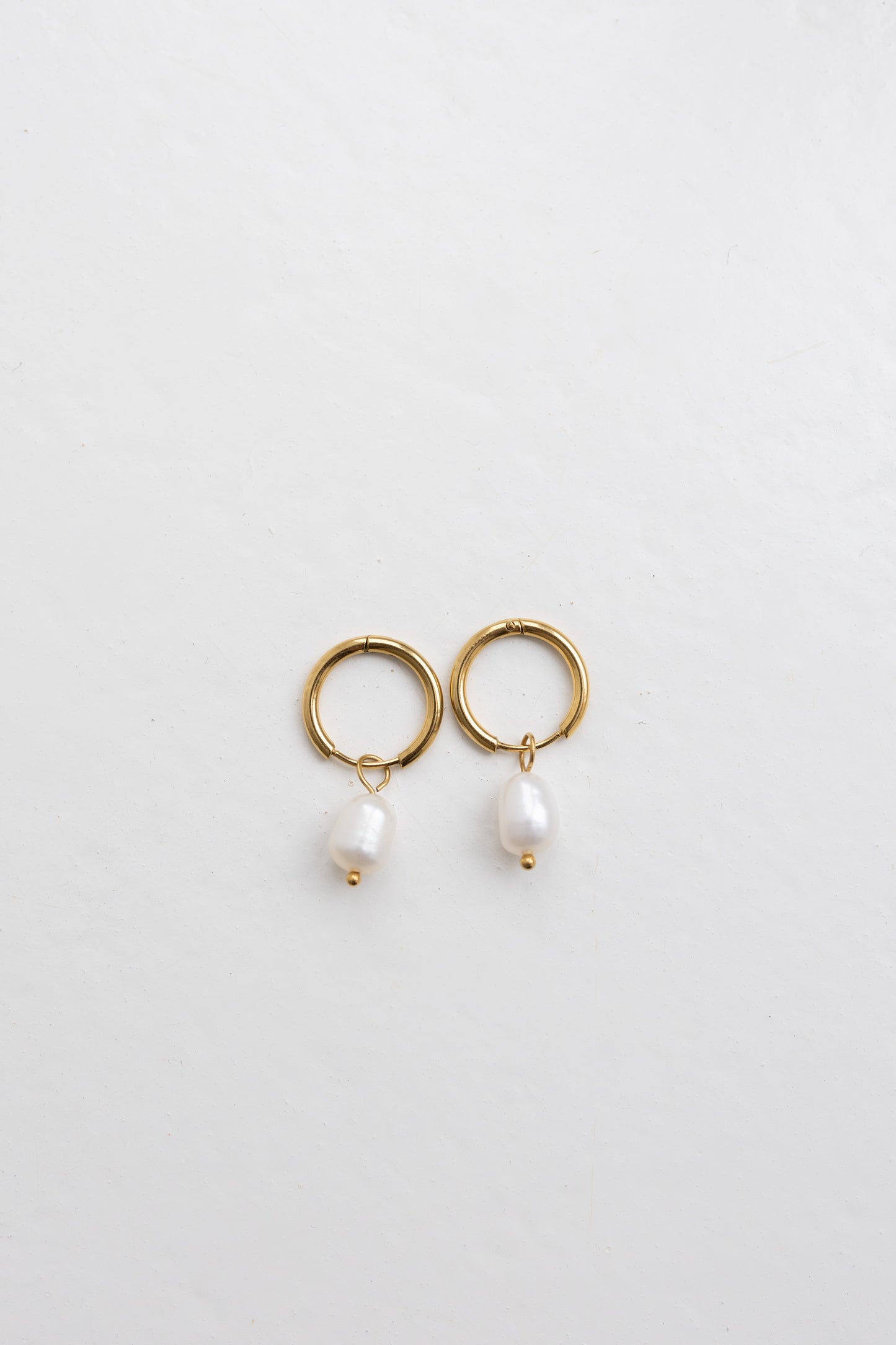 Audrey Hoops