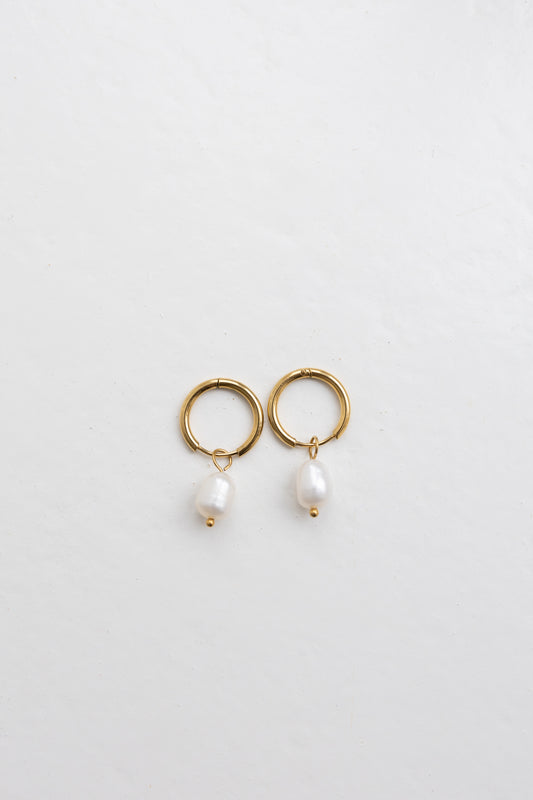 Audrey Hoops