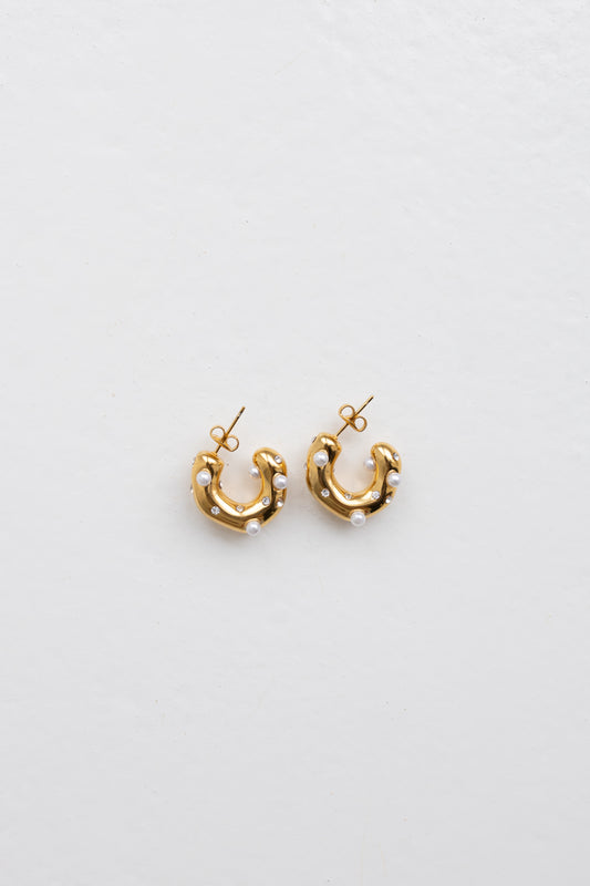 Taylor Hoops